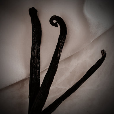 Toccata & Fougère™ Black Vanilla Hand-Dipped Incense