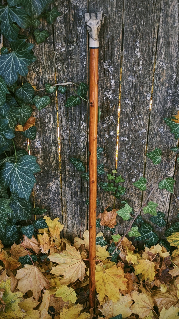 Vintage Ram's Head Walking Stick