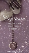 Capricorn: responsible, disciplined, and realistic.